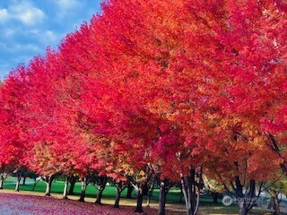 2720 NW Cascade Avenue