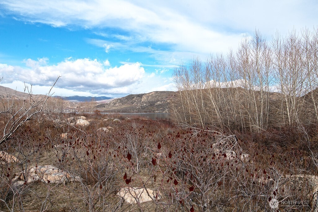 0 NNA Lazy Lightning SP 1,2, 4-6