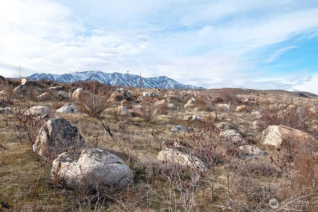 0 NNA Lazy Lightning SP 1,2, 4-6