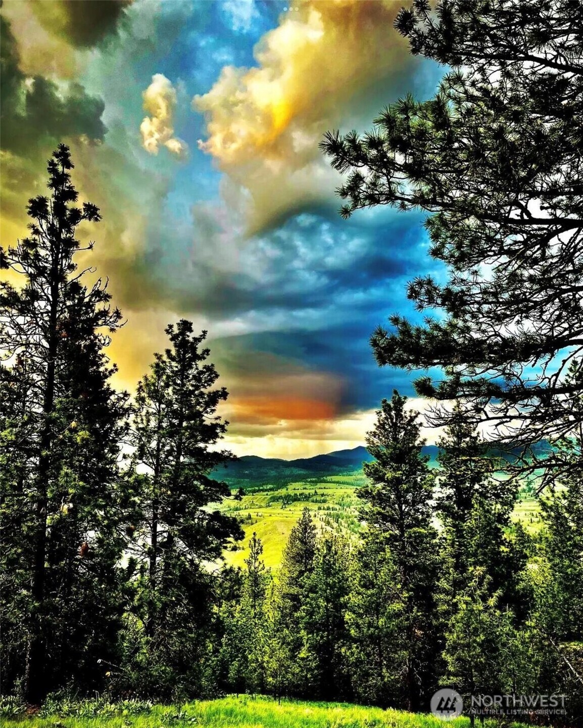 315 Reevas Basin Road