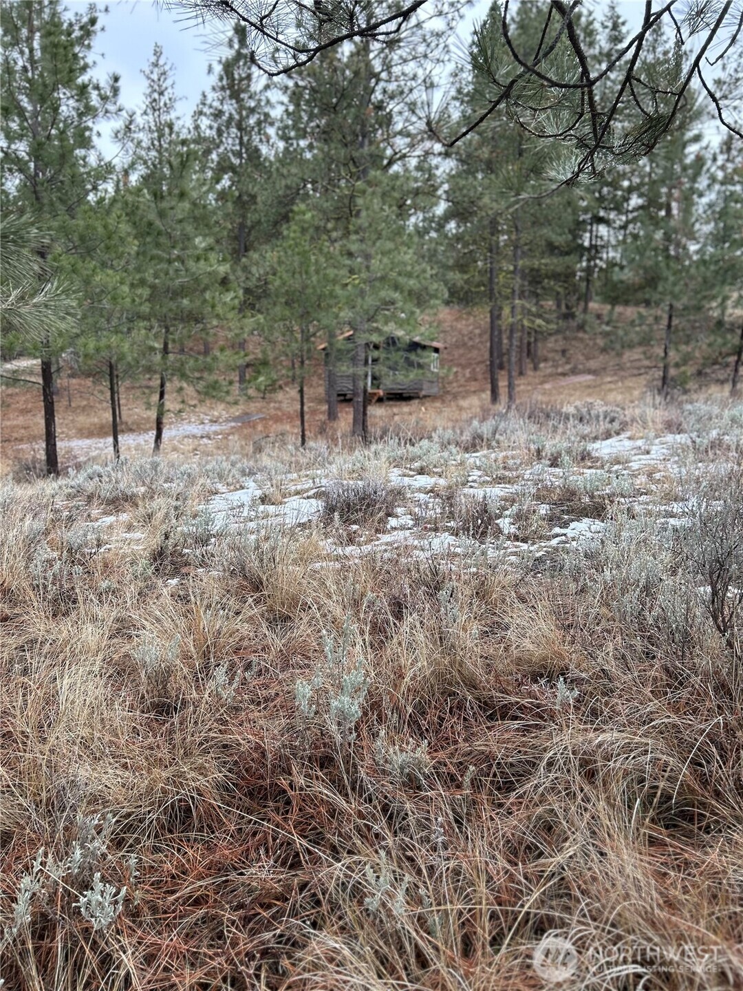 315 Reevas Basin Road