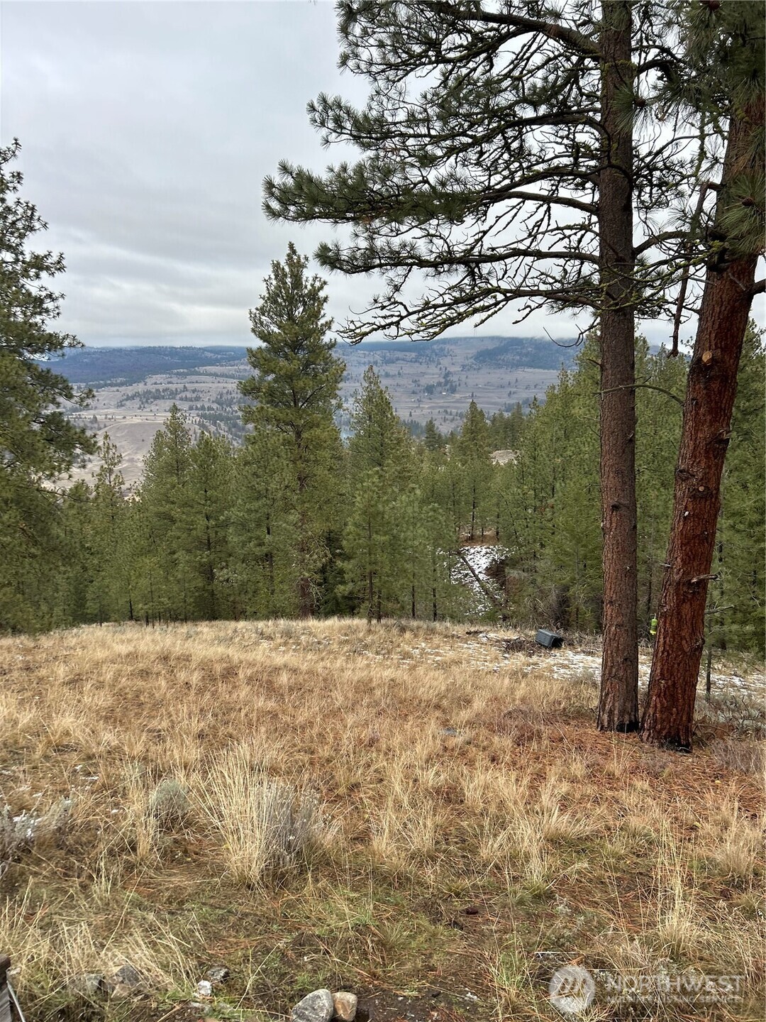 315 Reevas Basin Road