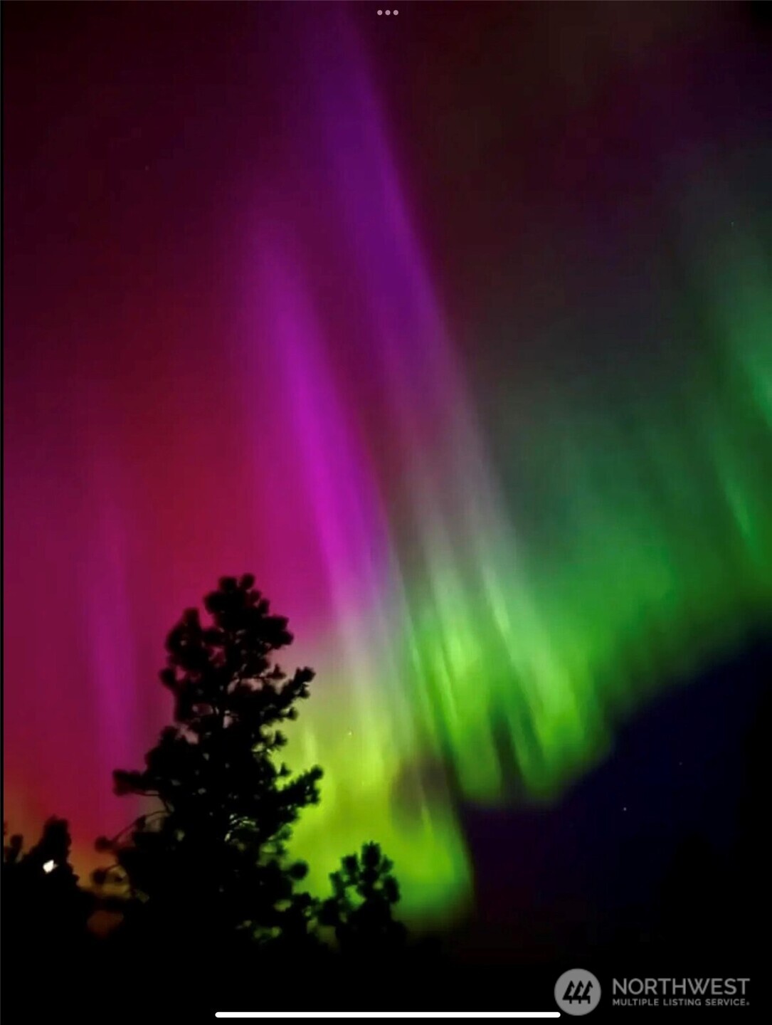 315 Reevas Basin Road