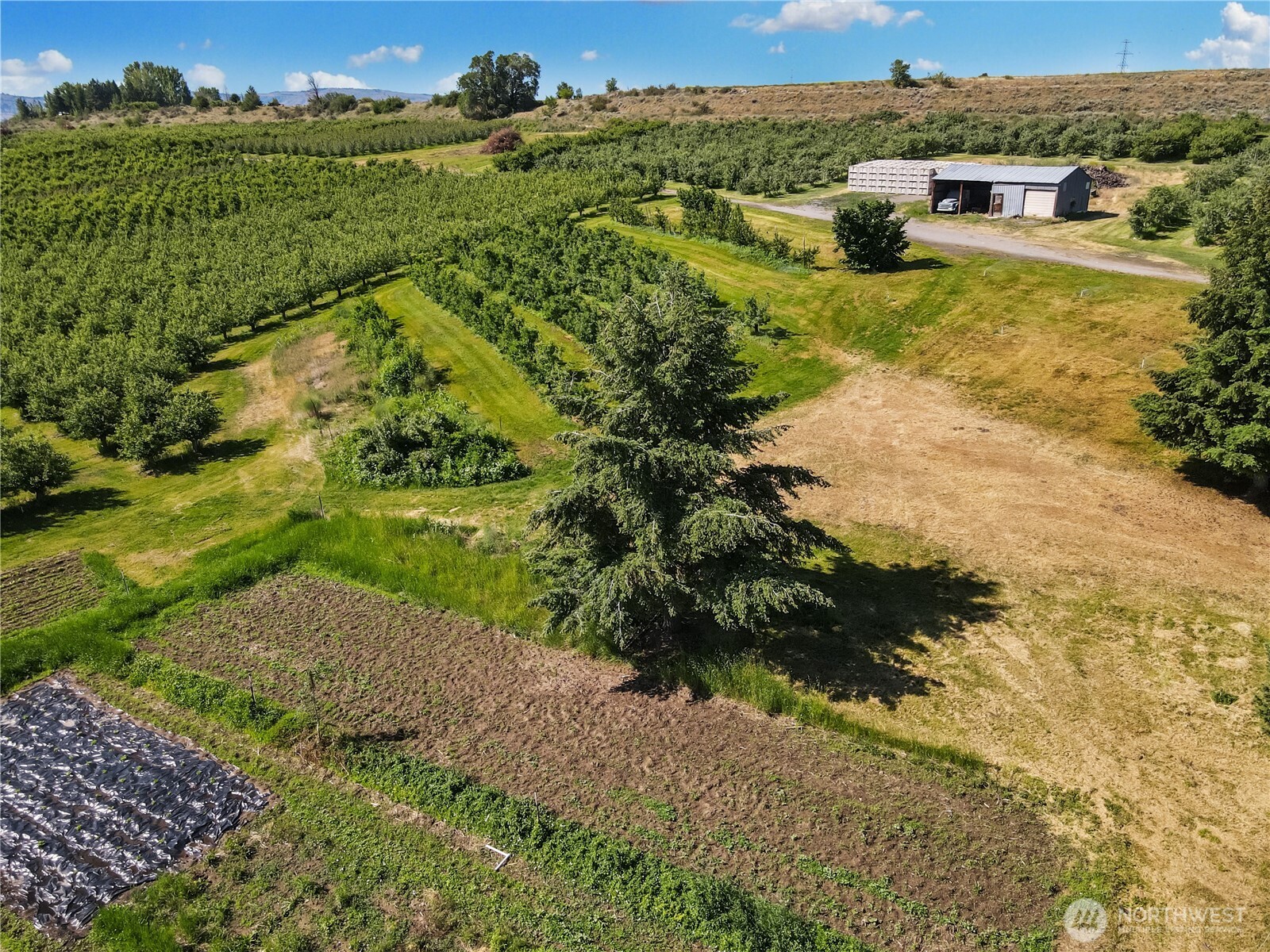 223 Old Riverside Hwy