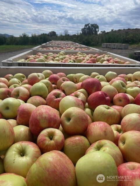 223 Old Riverside Hwy