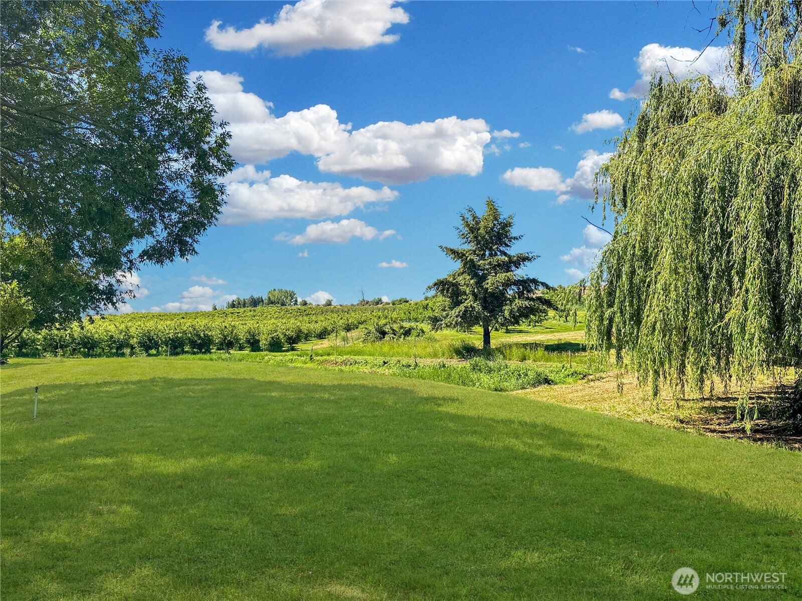 223 Old Riverside Hwy