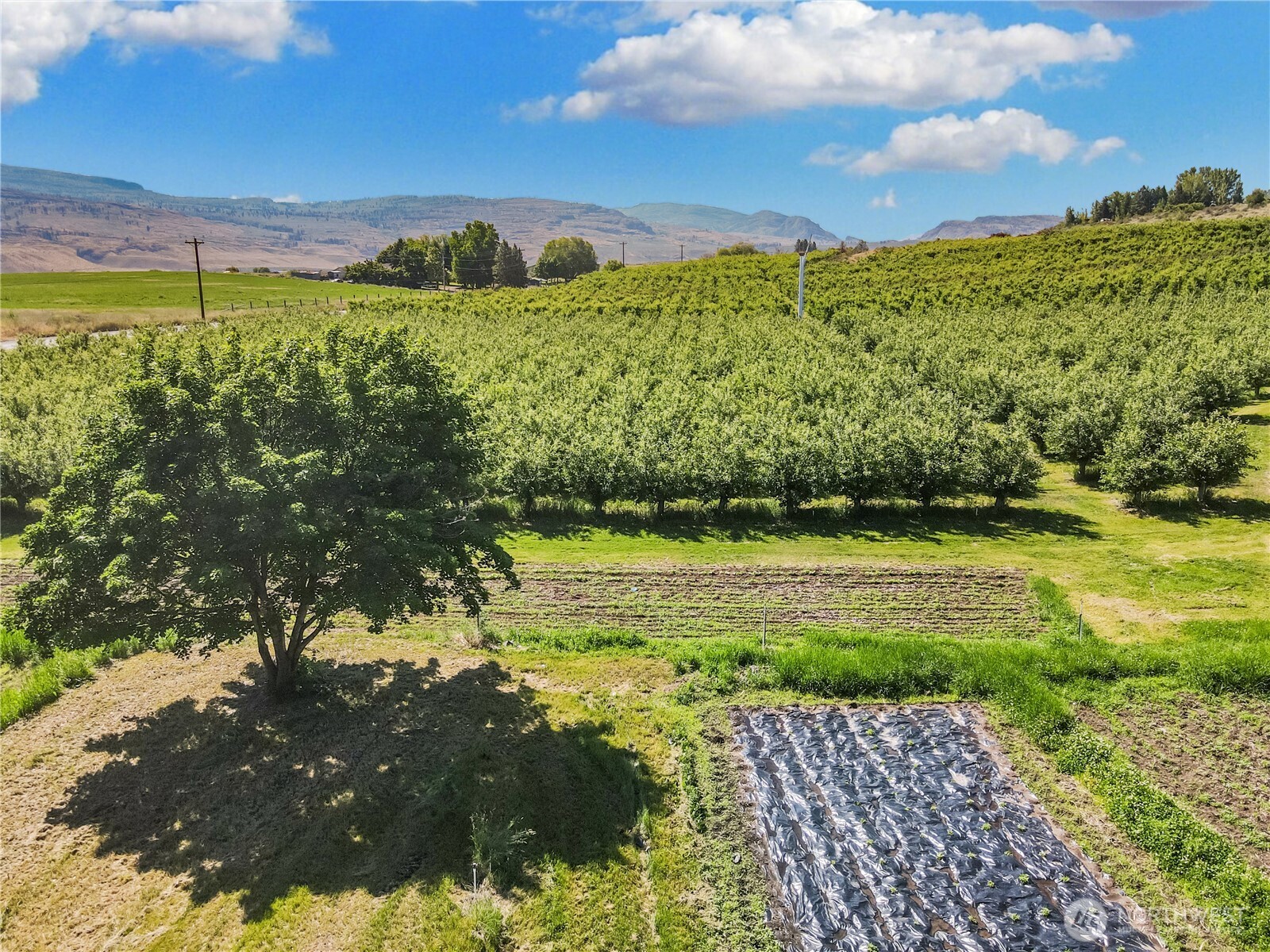 223 Old Riverside Hwy