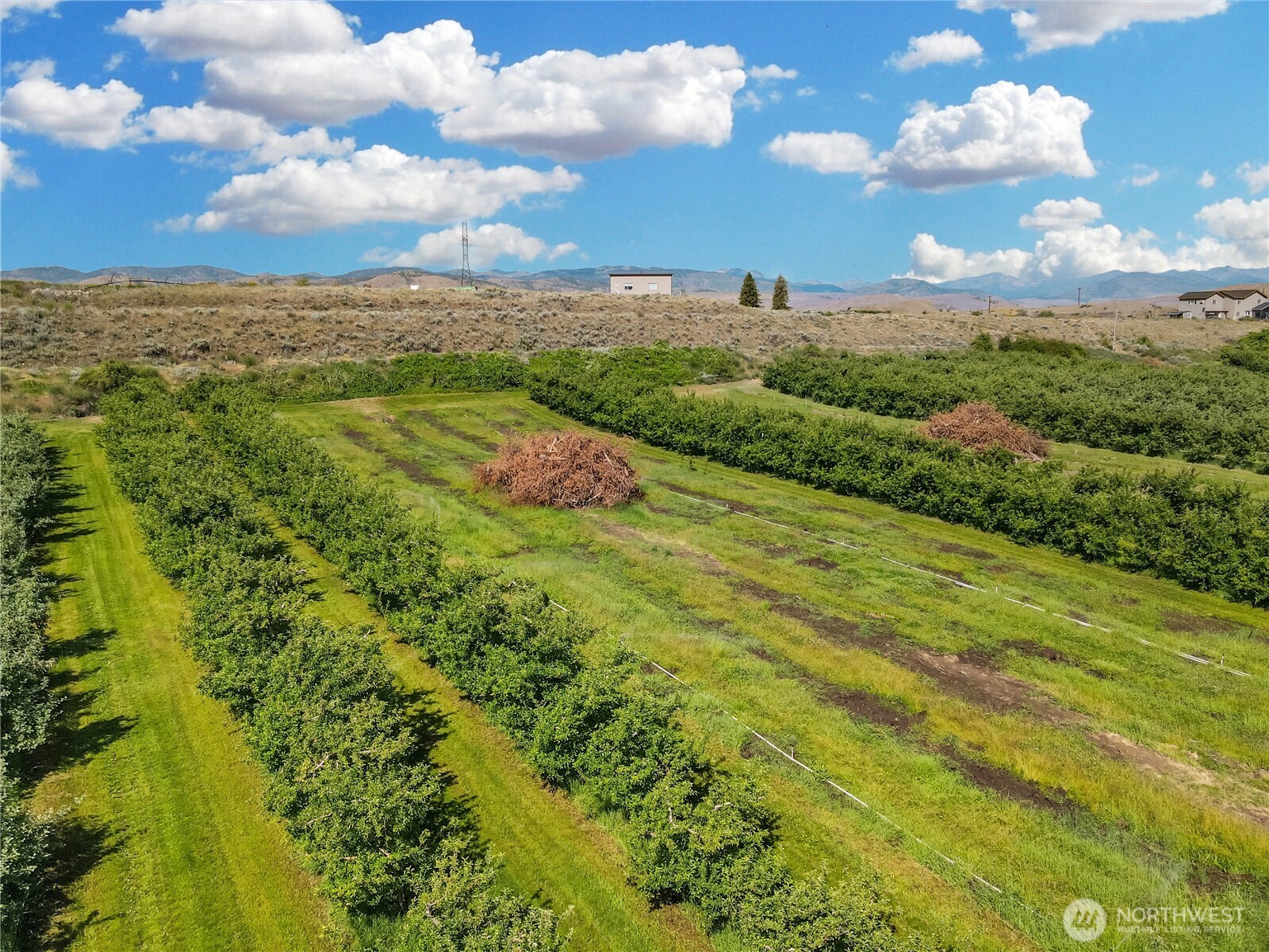 223 Old Riverside Hwy