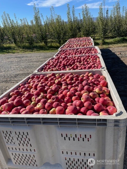 223 Old Riverside HWY