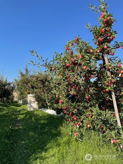 223 Old Riverside HWY