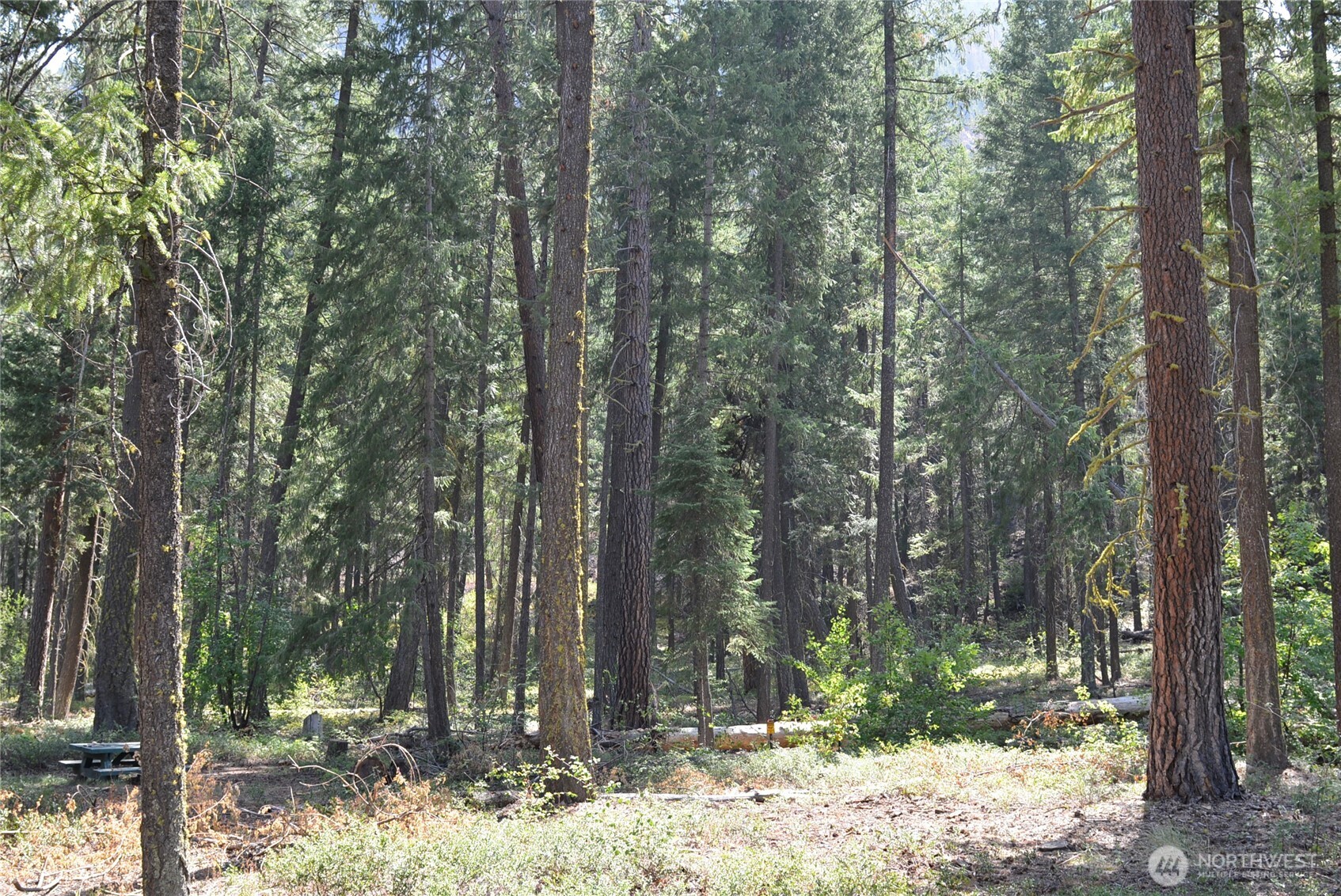 17798 A Hwy 20 Unit: C-6