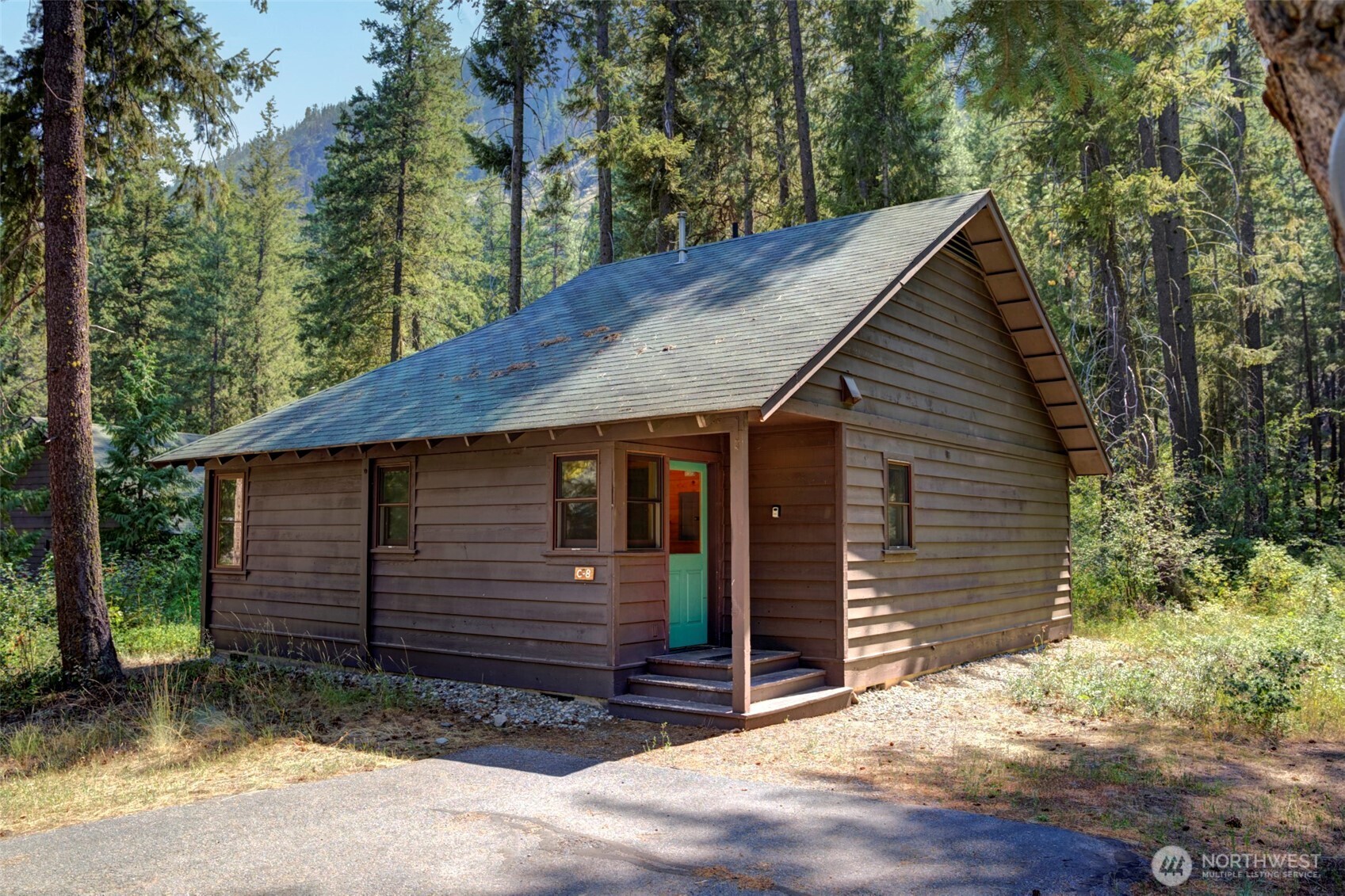 Forest cabin with a steep gabled roof and turquoise front door, surrounded by evergreens.
