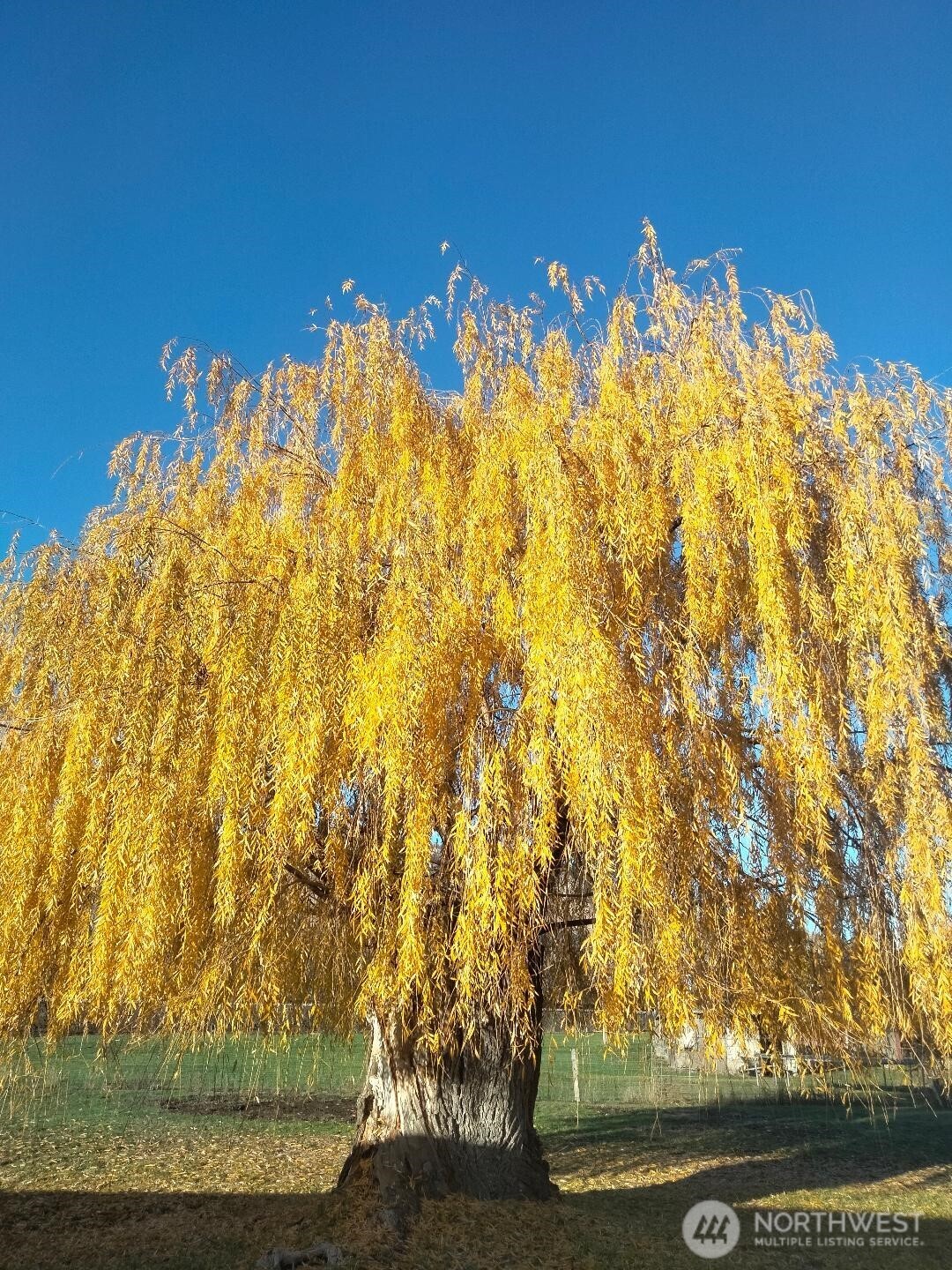 6 Jennings Loop Road