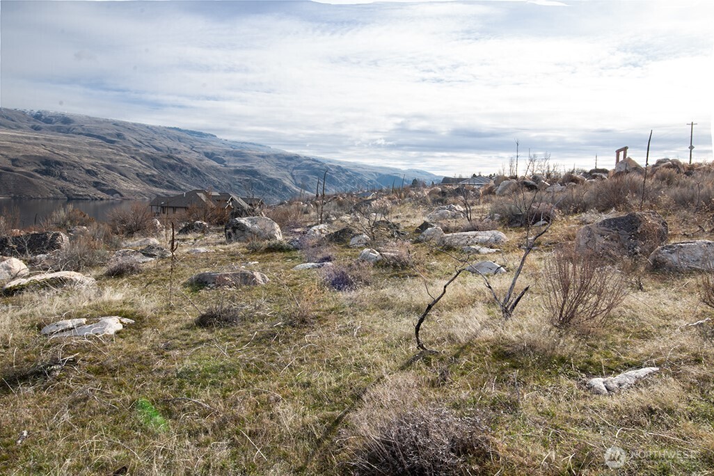 0 NNA Lot 1 Lazy Lightning LP