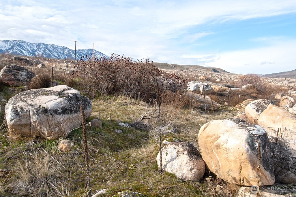 0 NNA Lot 1 Lazy Lightning LP