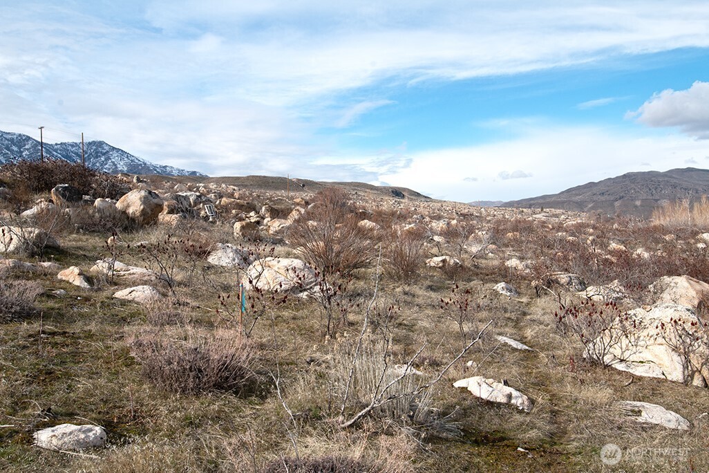 0 NNA Lot 1 Lazy Lightning LP