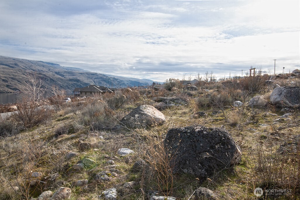 0 NNA Lot 1 Lazy Lightning LP