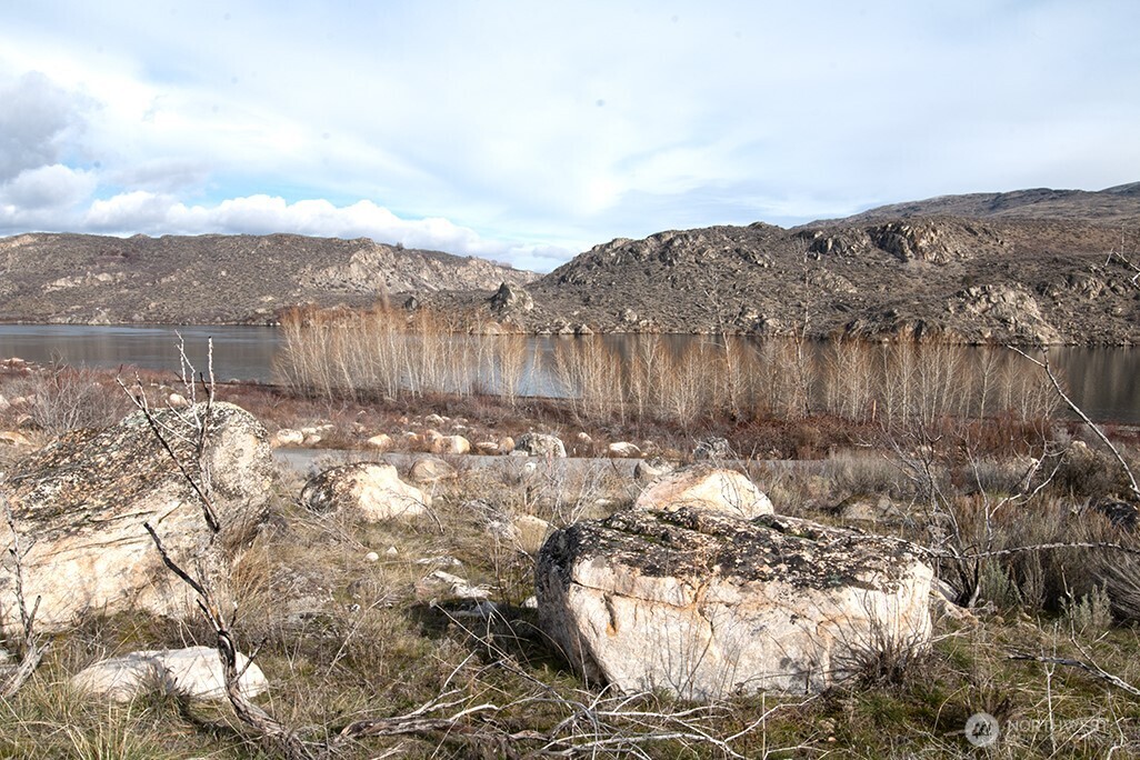 0 NNA Lot 1 Lazy Lightning LP