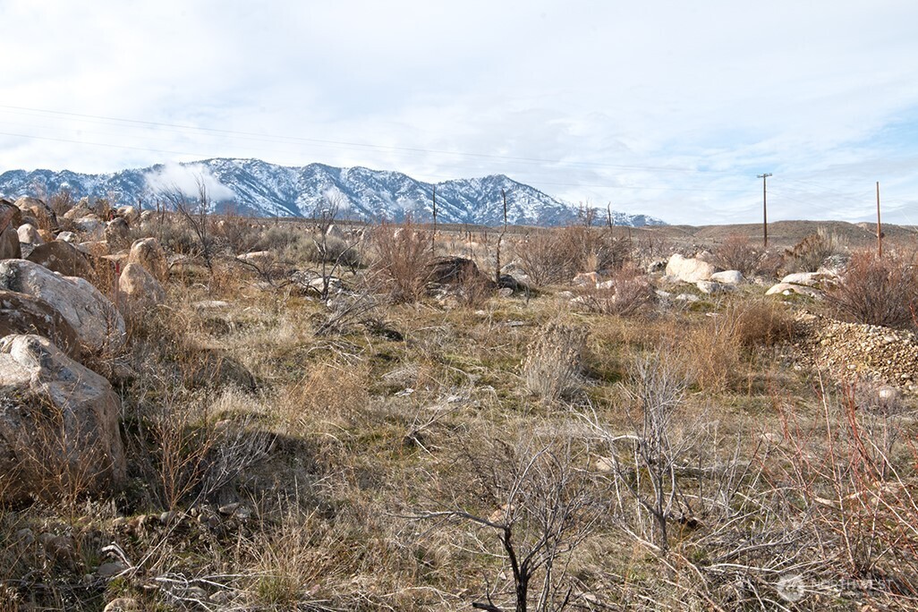 0 NNA Lot 1 Lazy Lightning LP