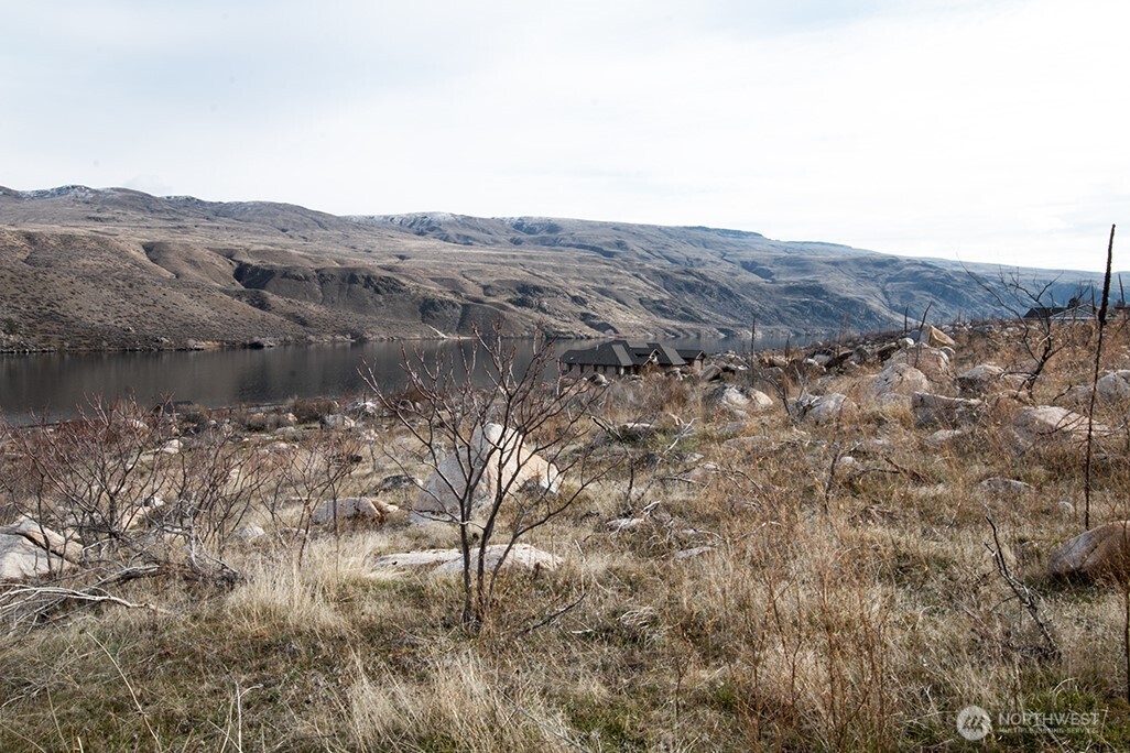 0 NNA Lot 1 Lazy Lightning LP