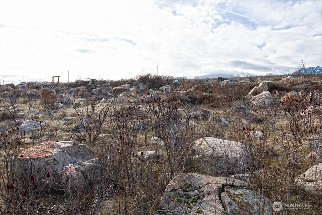 0 NNA Lot 1 Lazy Lightning LP