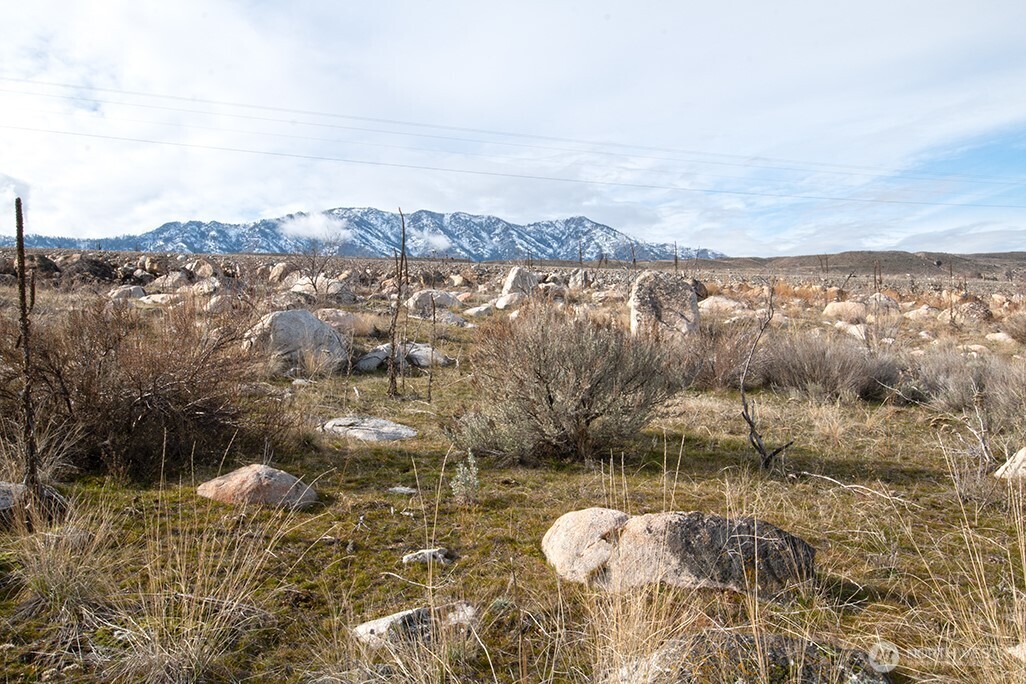 0 NNA Lot 1 Lazy Lightning LP