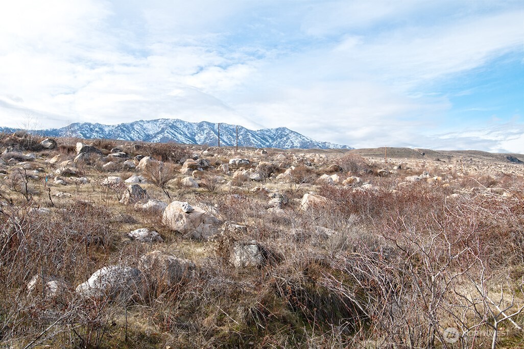 0 NNA Lot 1 Lazy Lightning LP