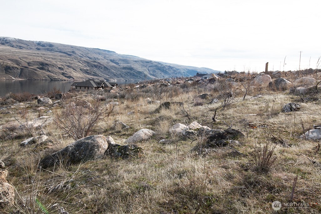 0 NNA Lot 1 Lazy Lightning LP