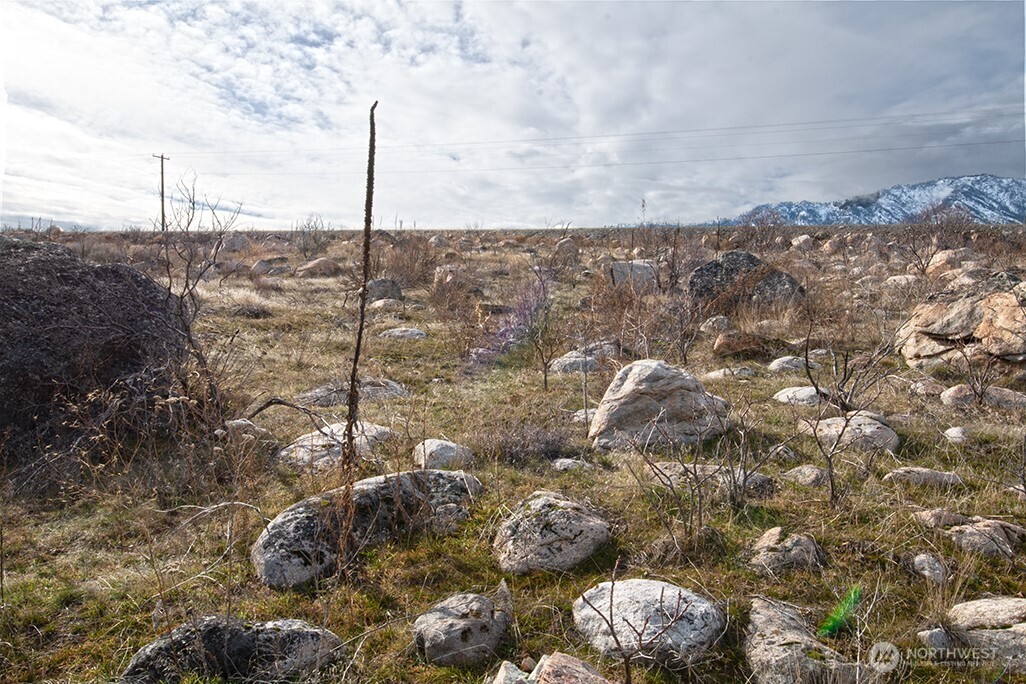 0 NNA Lot 1 Lazy Lightning LP