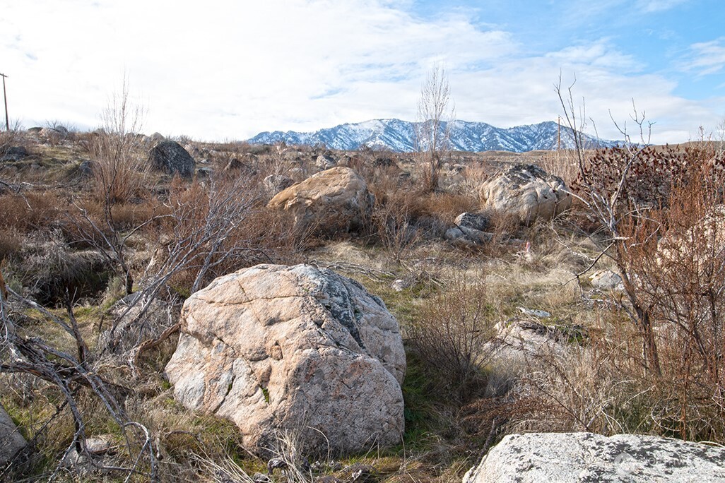 0 NNA Lot 2 Lazy Lightning Long Plat