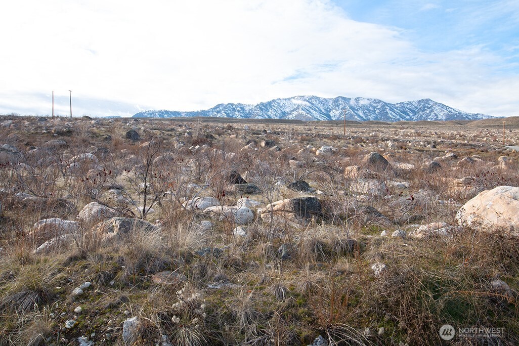 0 NNA Lot 2 Lazy Lightning Long Plat