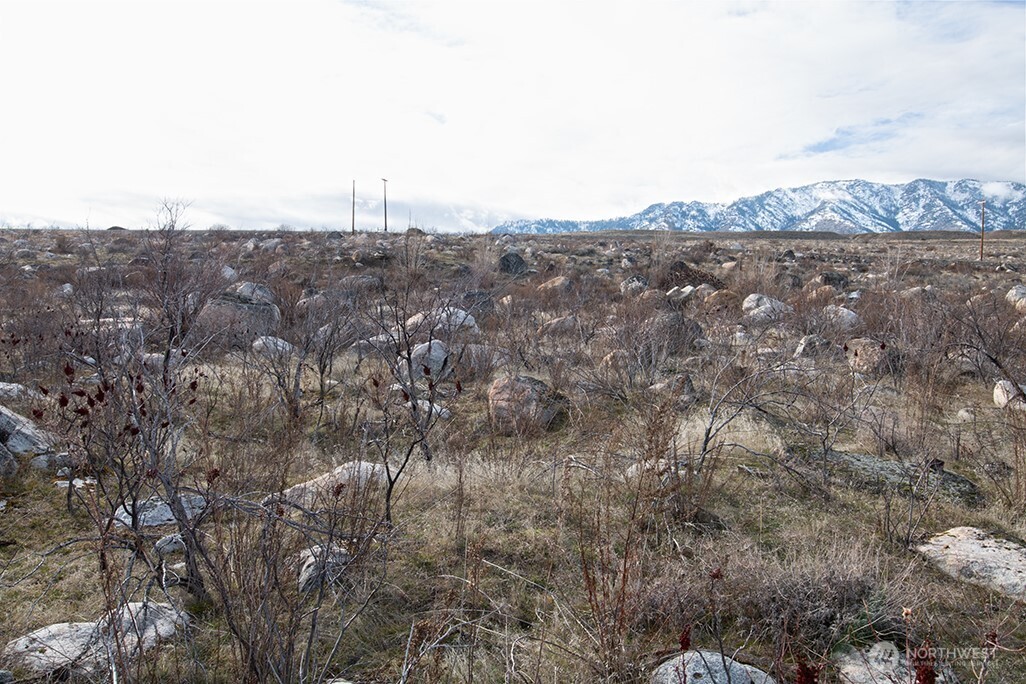 0 NNA Lot 2 Lazy Lightning Long Plat