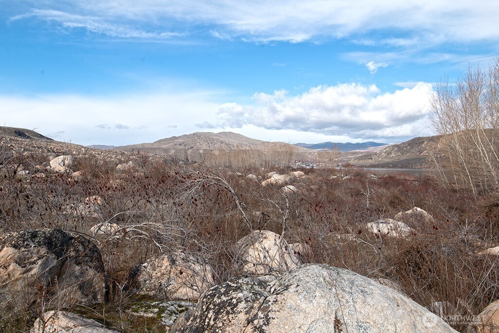 0 NNA Lot 2 Lazy Lightning Long Plat