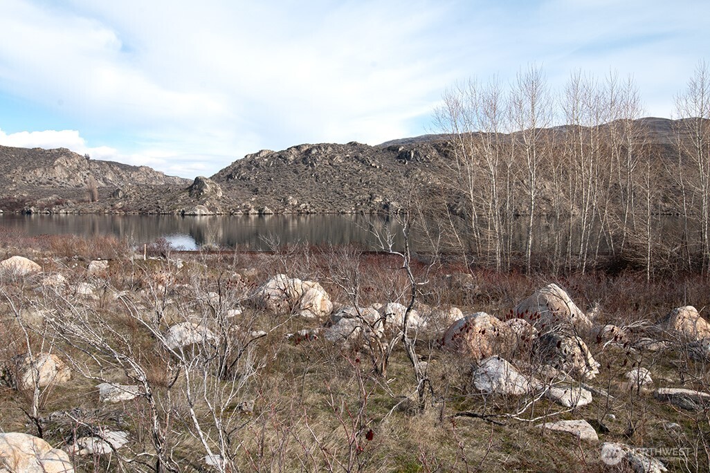 0 NNA Lot 2 Lazy Lightning Long Plat