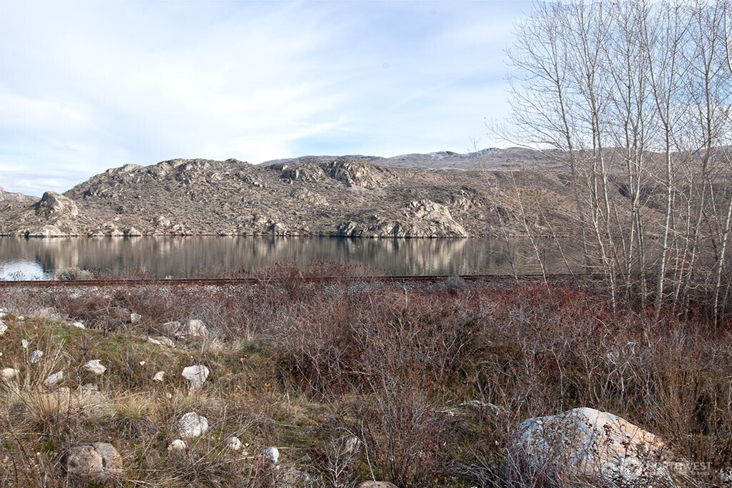 0 NNA Lot 2 Lazy Lightning Long Plat