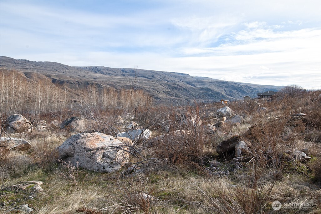 0 NNA Lot 2 Lazy Lightning Long Plat