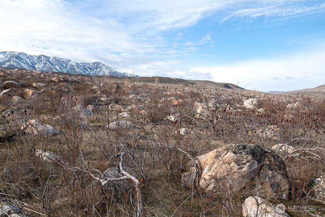 0 NNA Lot 2 Lazy Lightning Long Plat