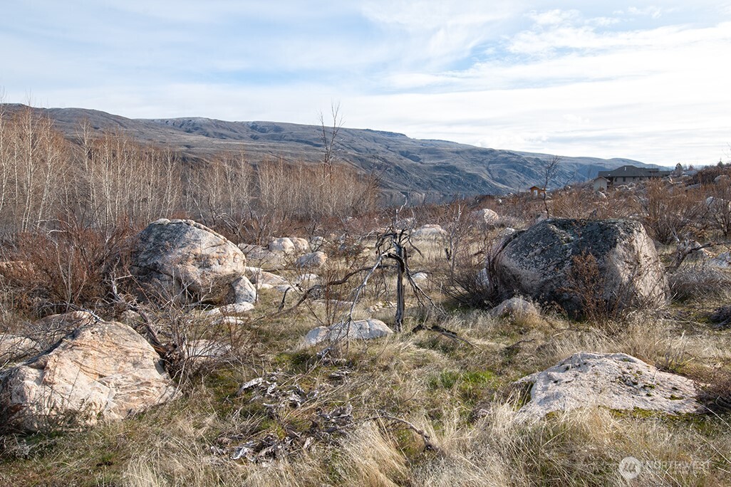 0 NNA Lot 2 Lazy Lightning Long Plat