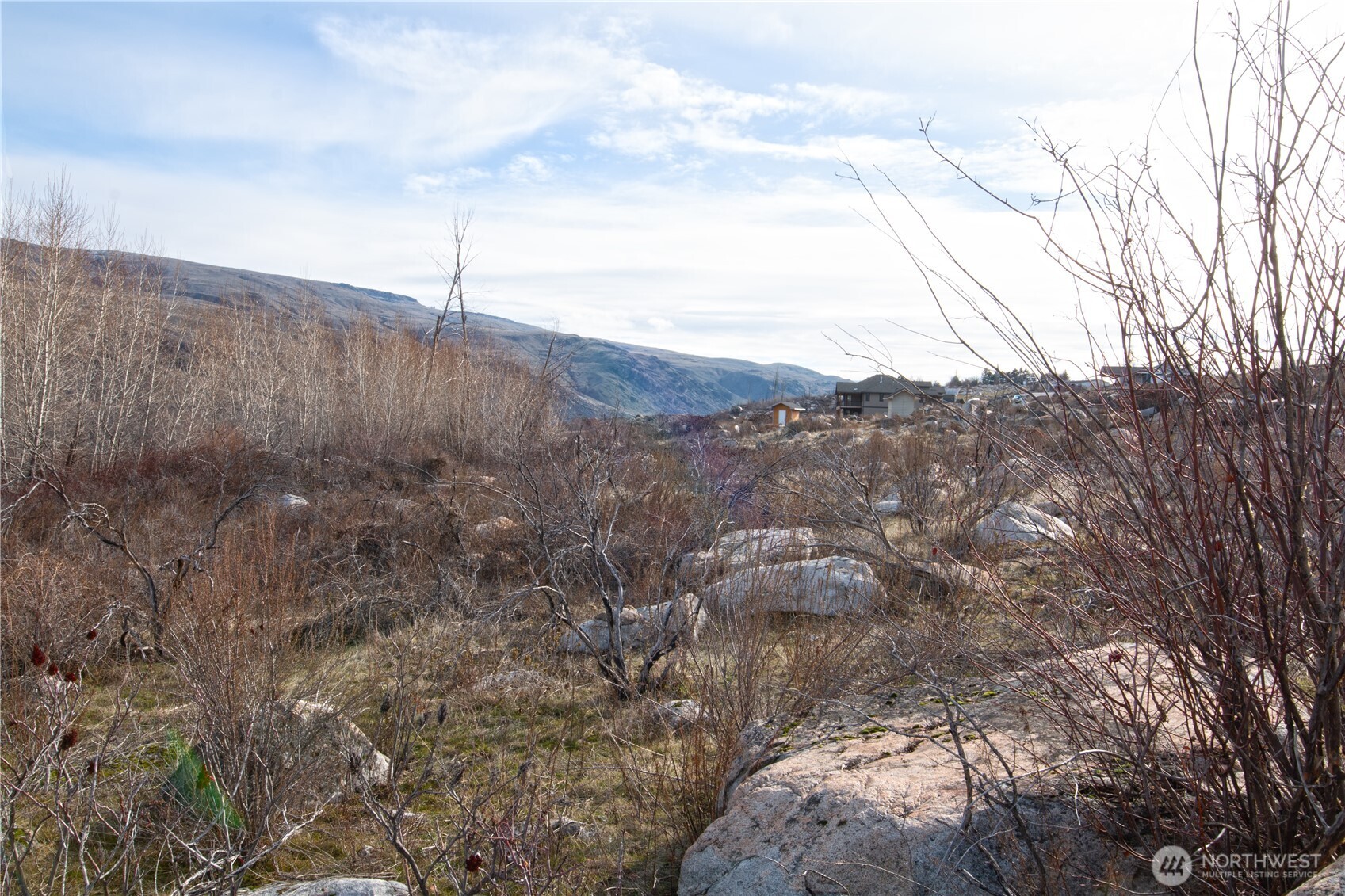 0 NNA Lot 2 Lazy Lightning Long Plat