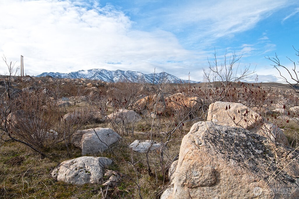 0 NNA Lot 2 Lazy Lightning Long Plat