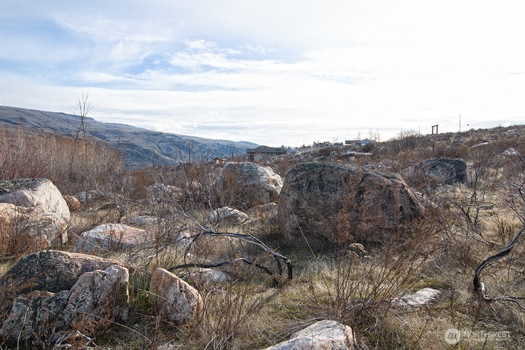 0 NNA Lot 2 Lazy Lightning Long Plat