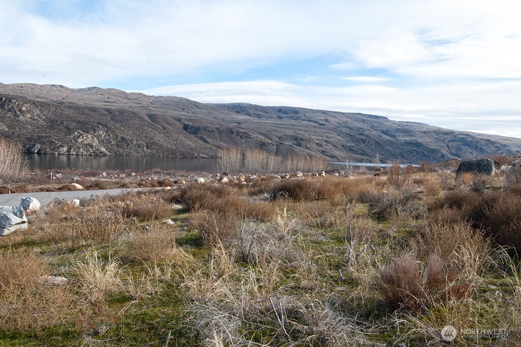 0 NNA Lot 4 Lazy Lightning Long Plat