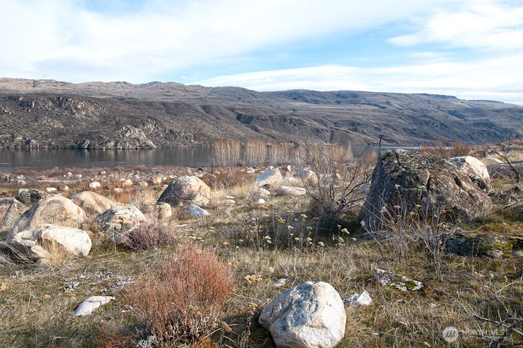 0 NNA Lot 4 Lazy Lightning Long Plat