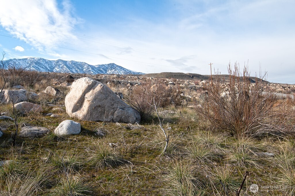 0 NNA Lot 4 Lazy Lightning Long Plat