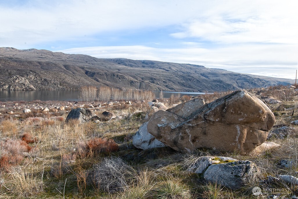 0 NNA Lot 4 Lazy Lightning Long Plat