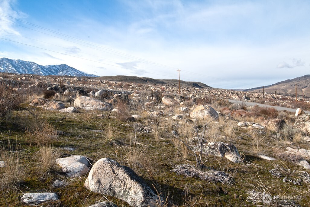 0 NNA Lot 4 Lazy Lightning Long Plat