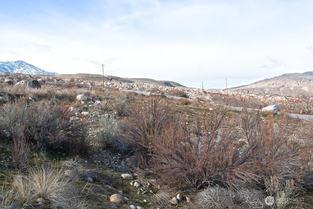 0 NNA Lot 4 Lazy Lightning Long Plat