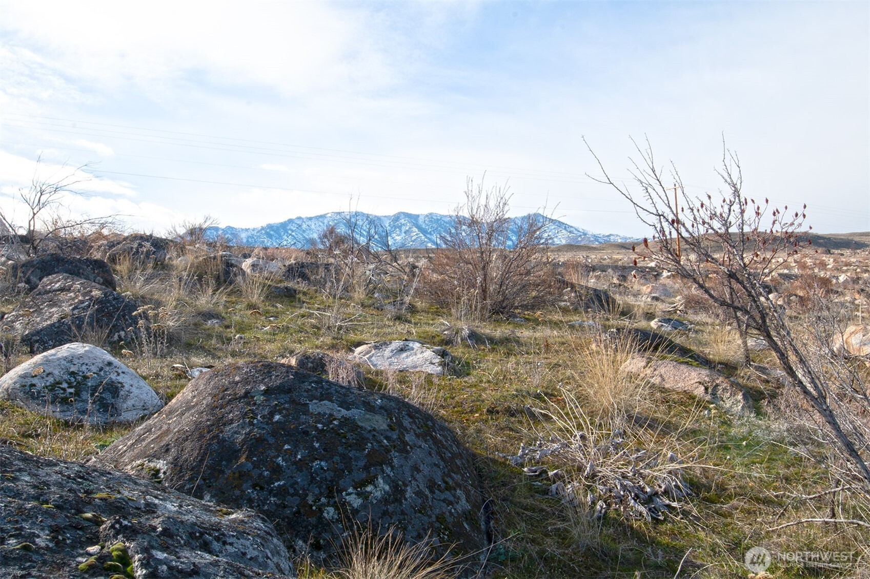 0 NNA Lot 5 Lazy Lightning Long Plat