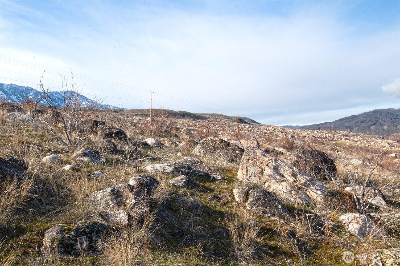 0 NNA Lot 5 Lazy Lightning Long Plat