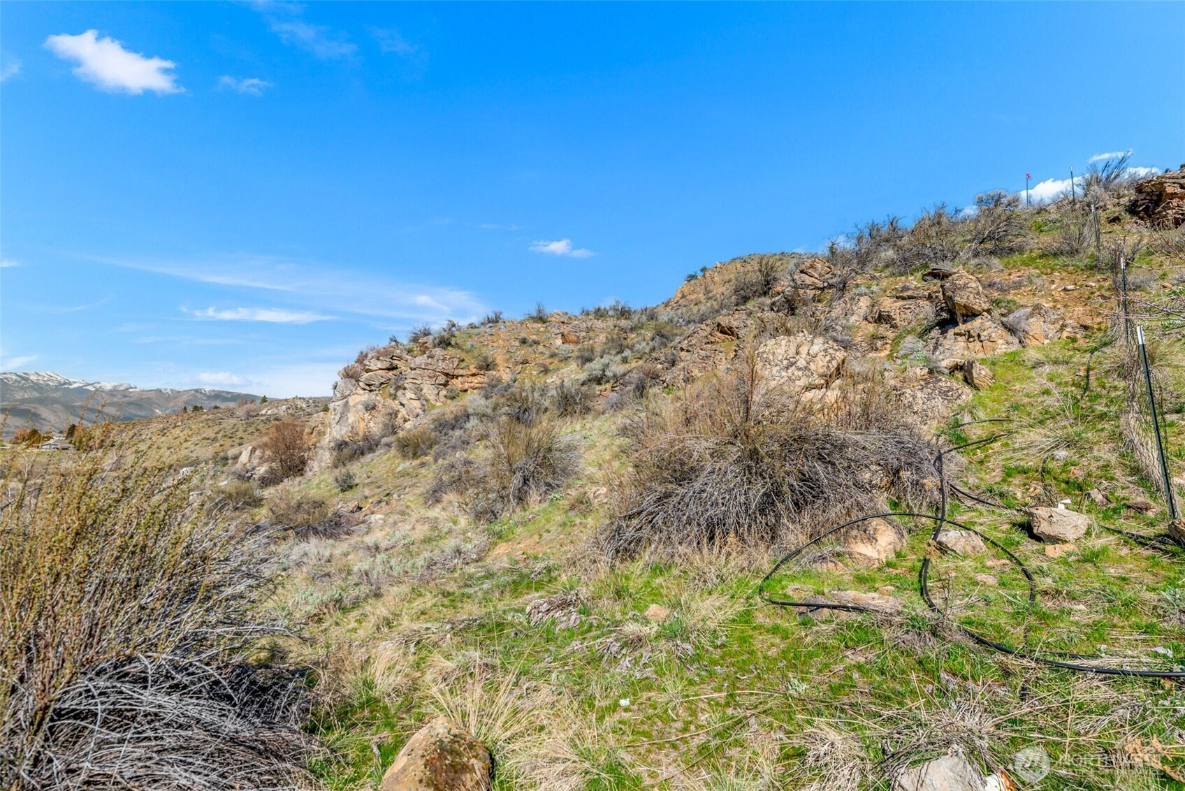 104 Crest Drive